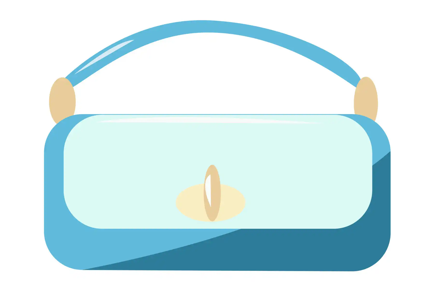 mini bag